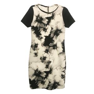 T Tahari Black and White Floral Scuba Sheath Dress